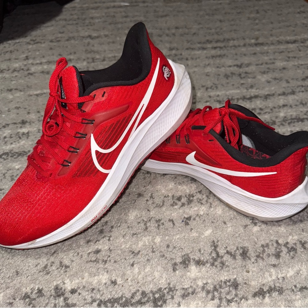 Nike Air Zoom Pegasus 39 “Ohio State”
